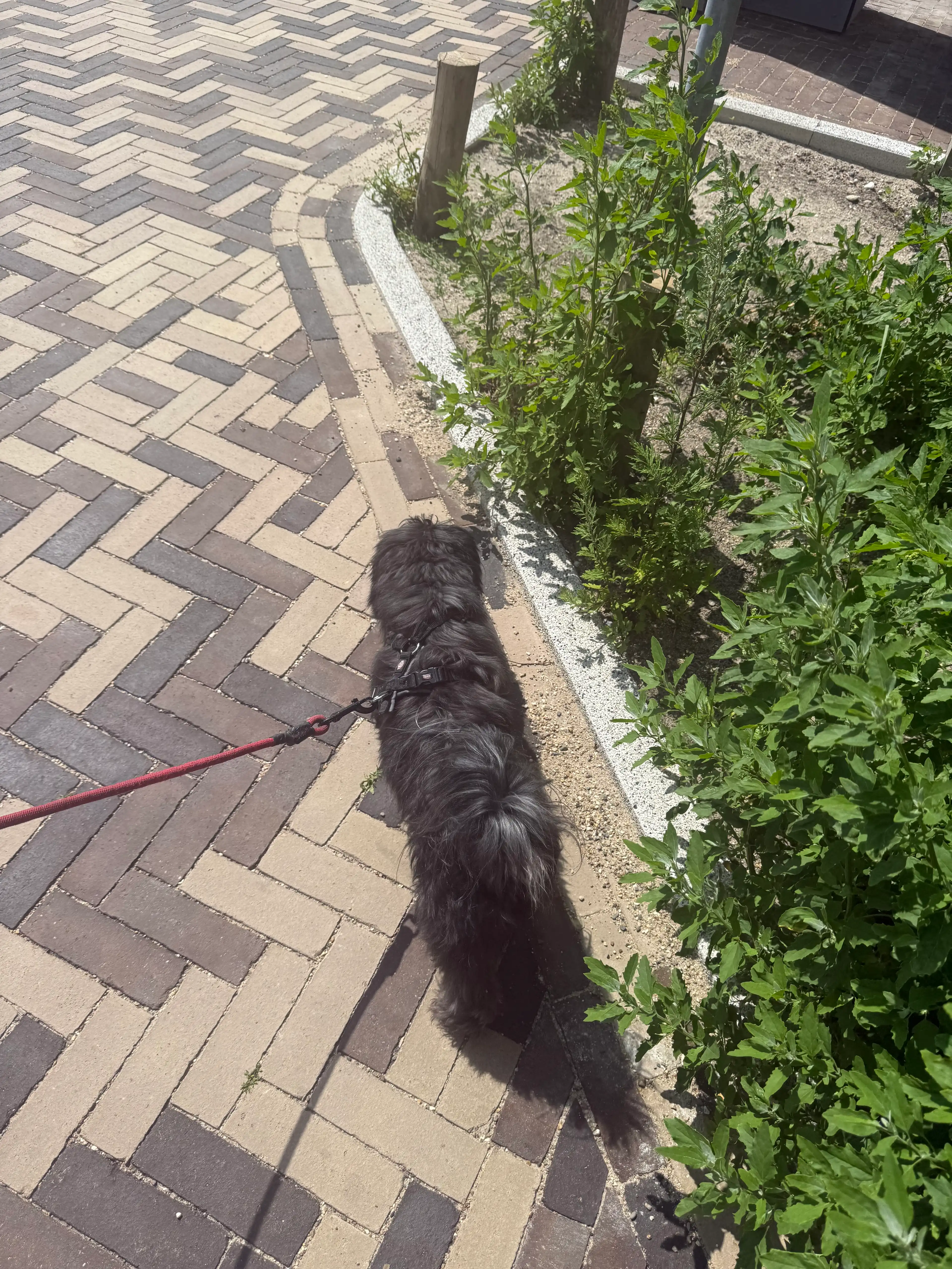 image-11