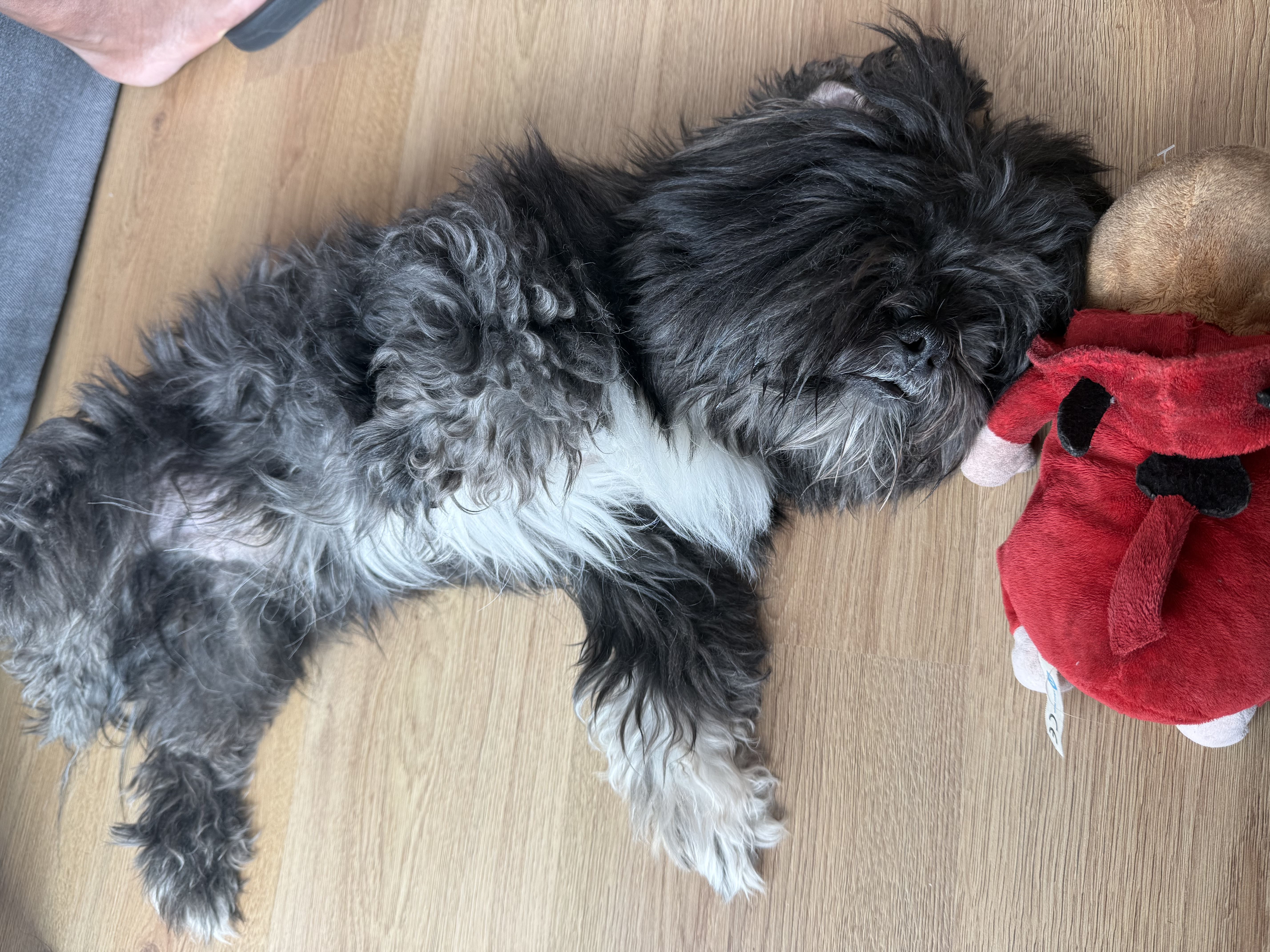 image-10