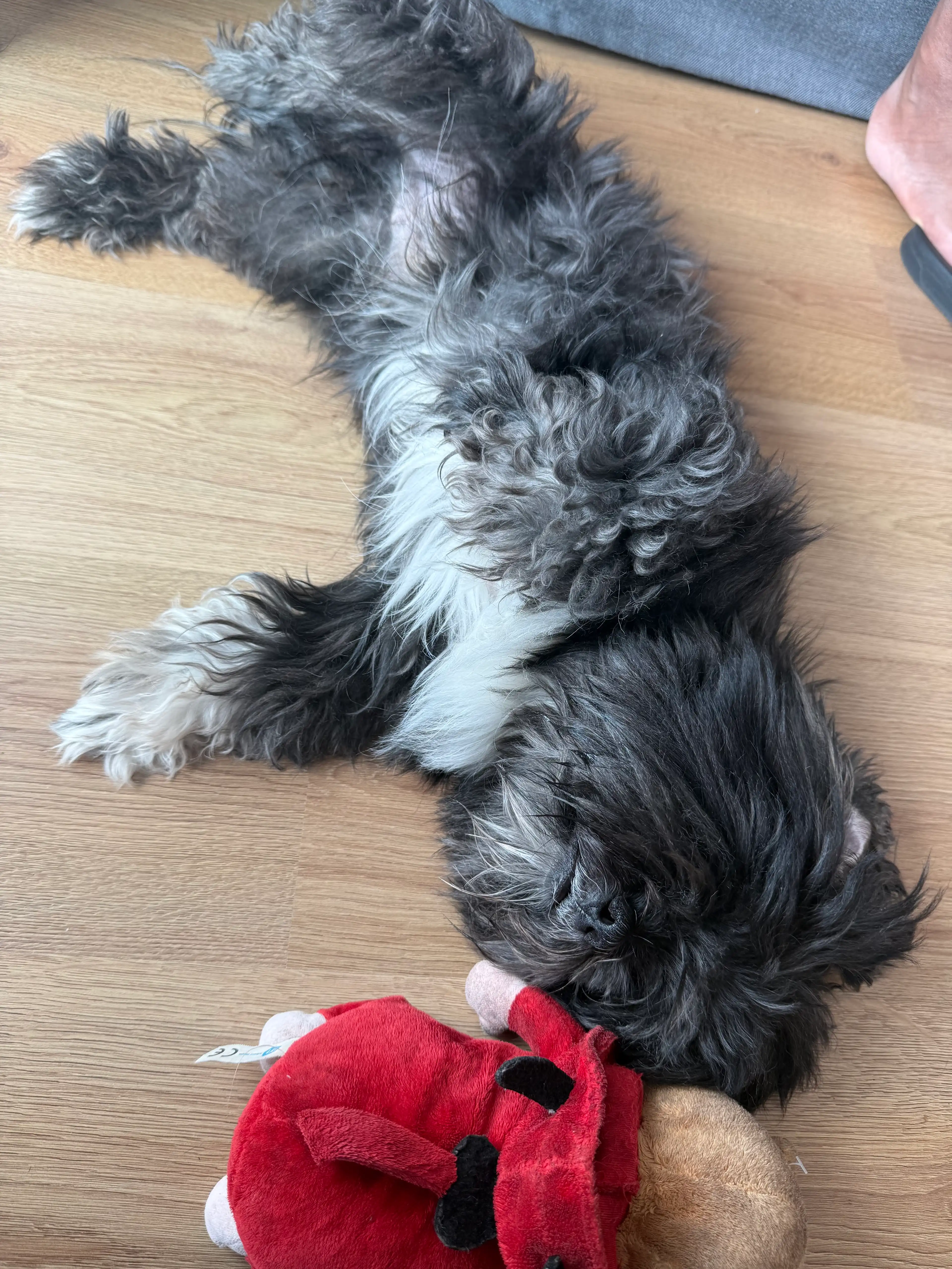 image-10
