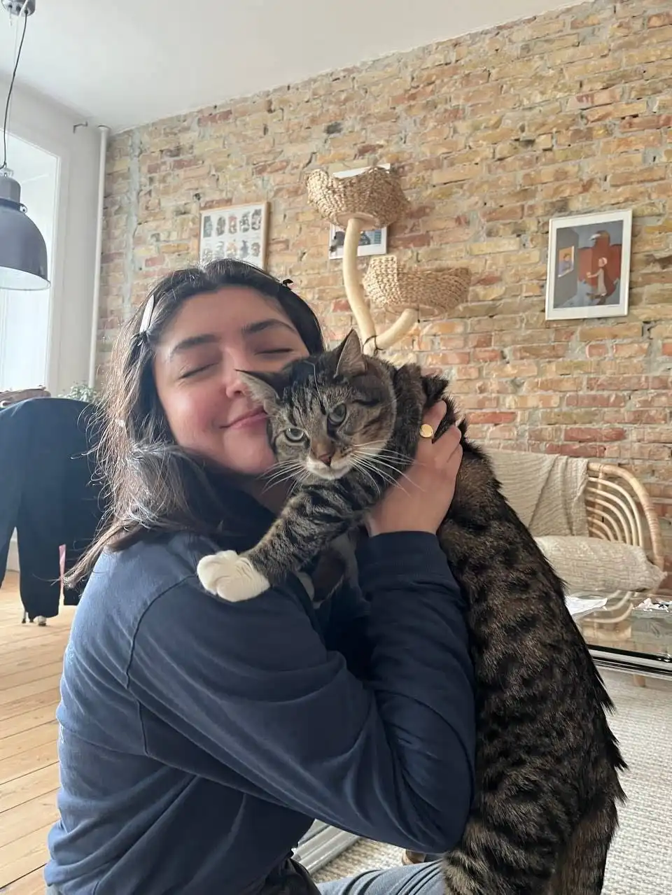 image-6