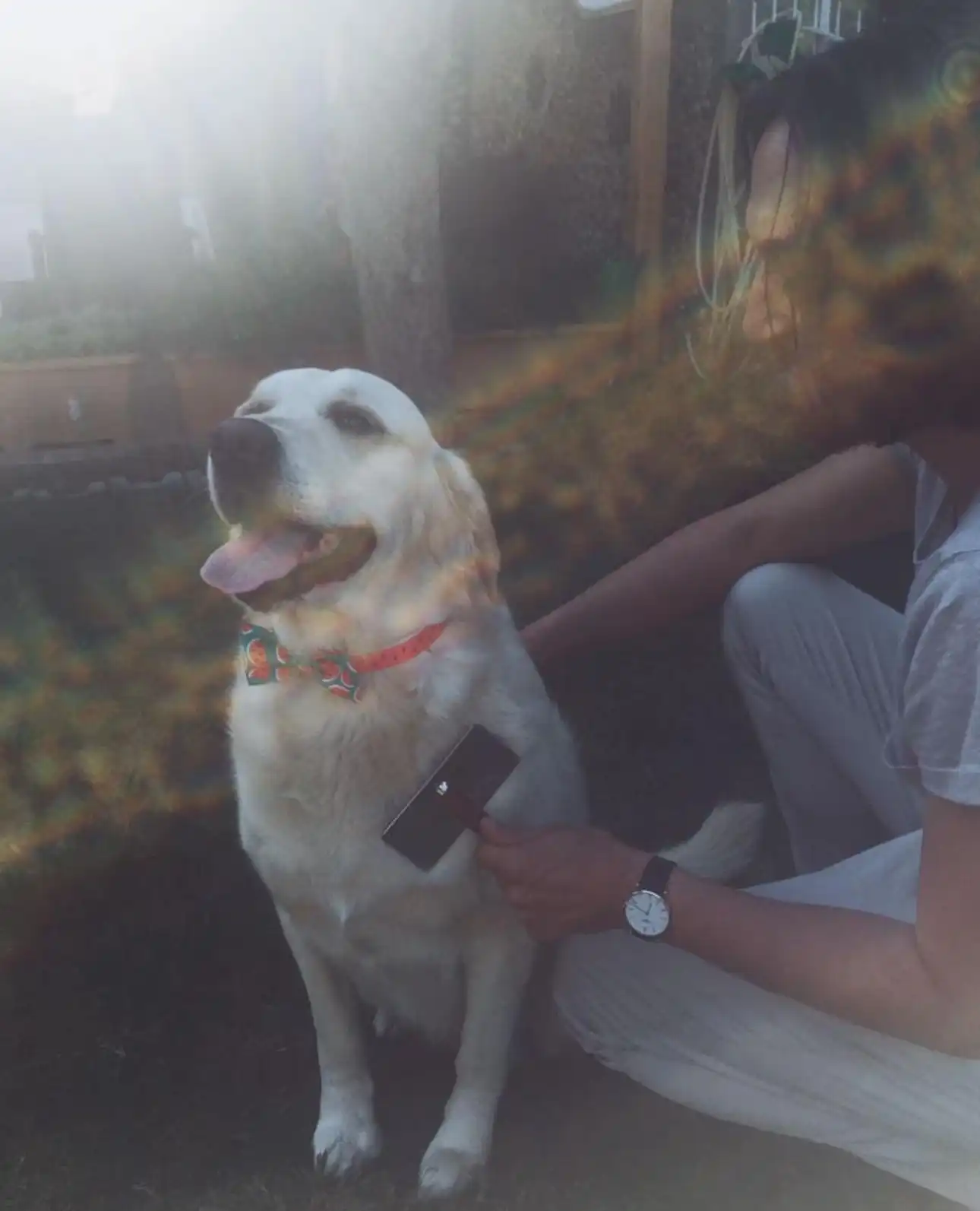 image-7