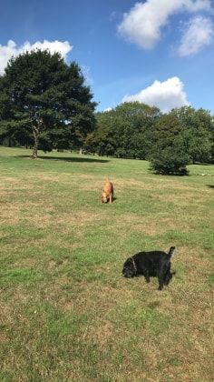 image-43
