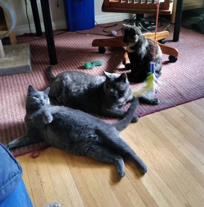 image-5