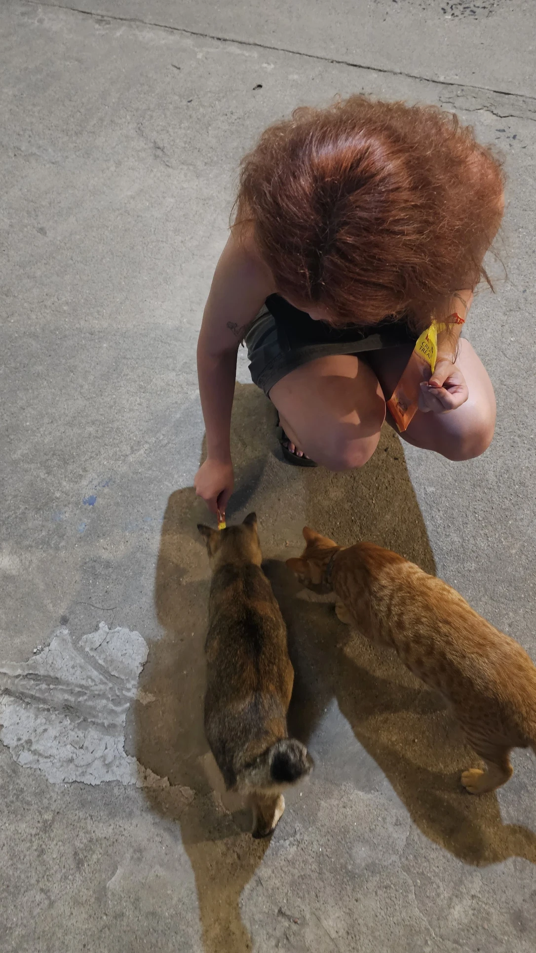 image-7