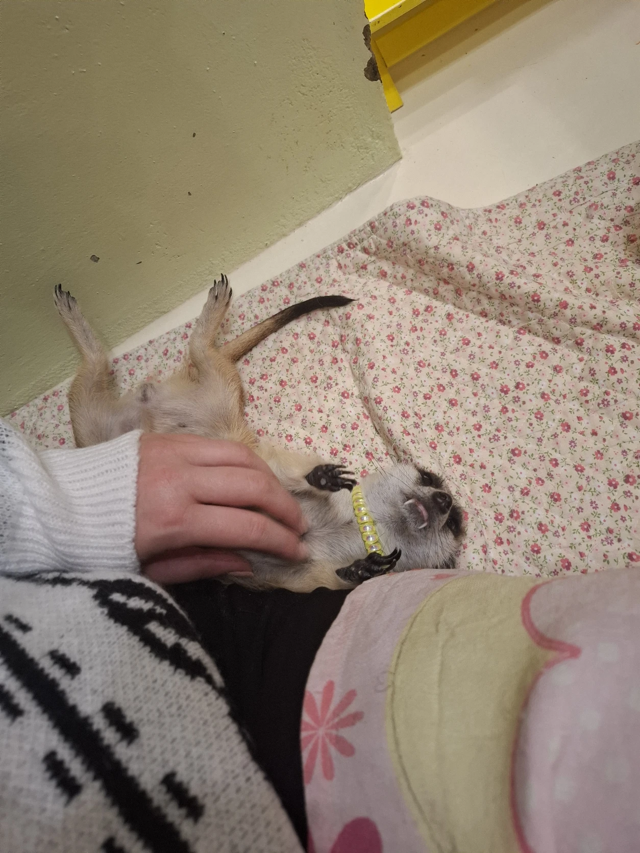 image-9