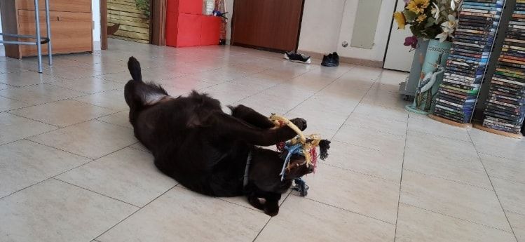 image-9