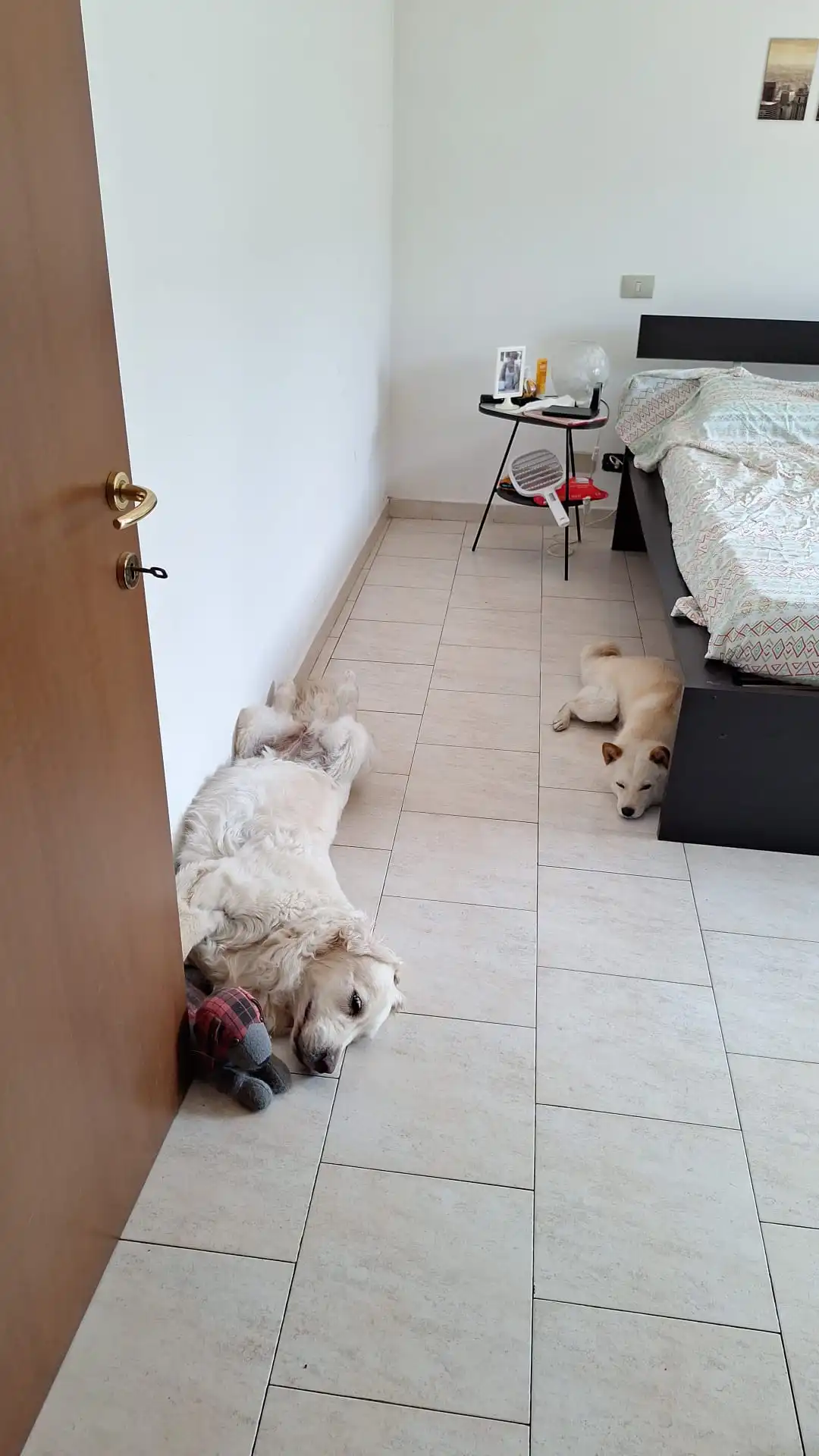 image-18