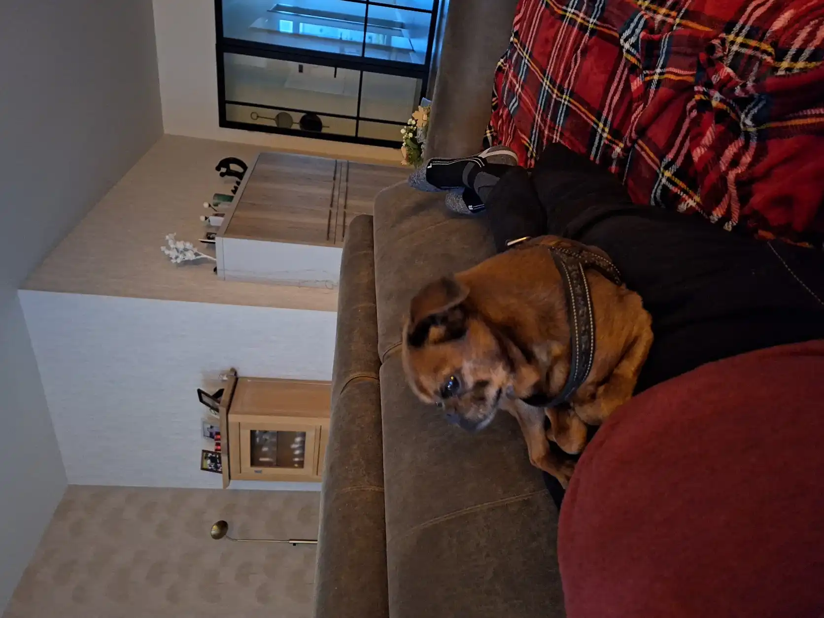 image-10