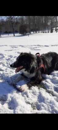 image-8