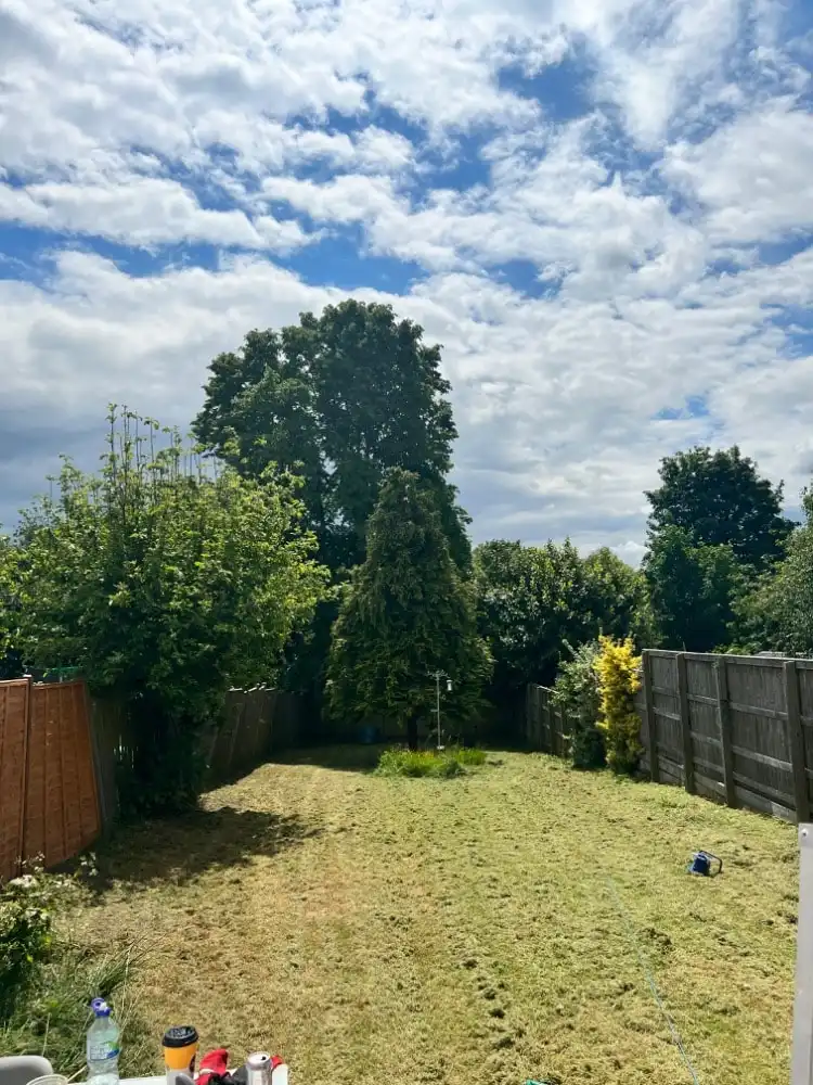 image-16
