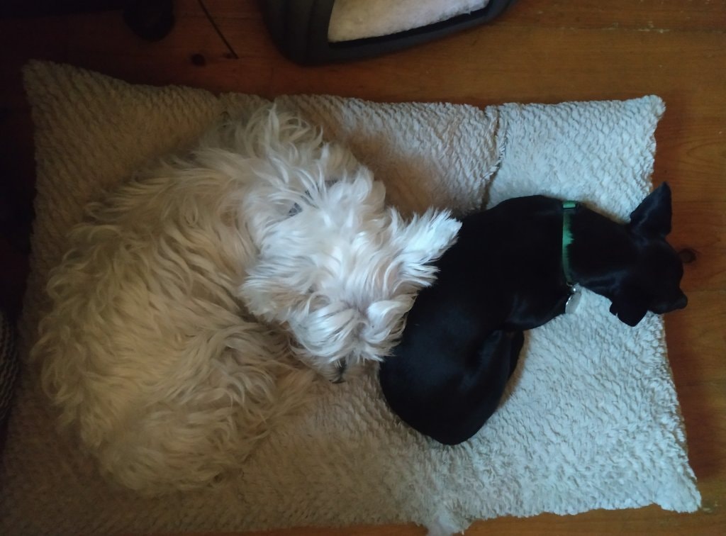 image-14