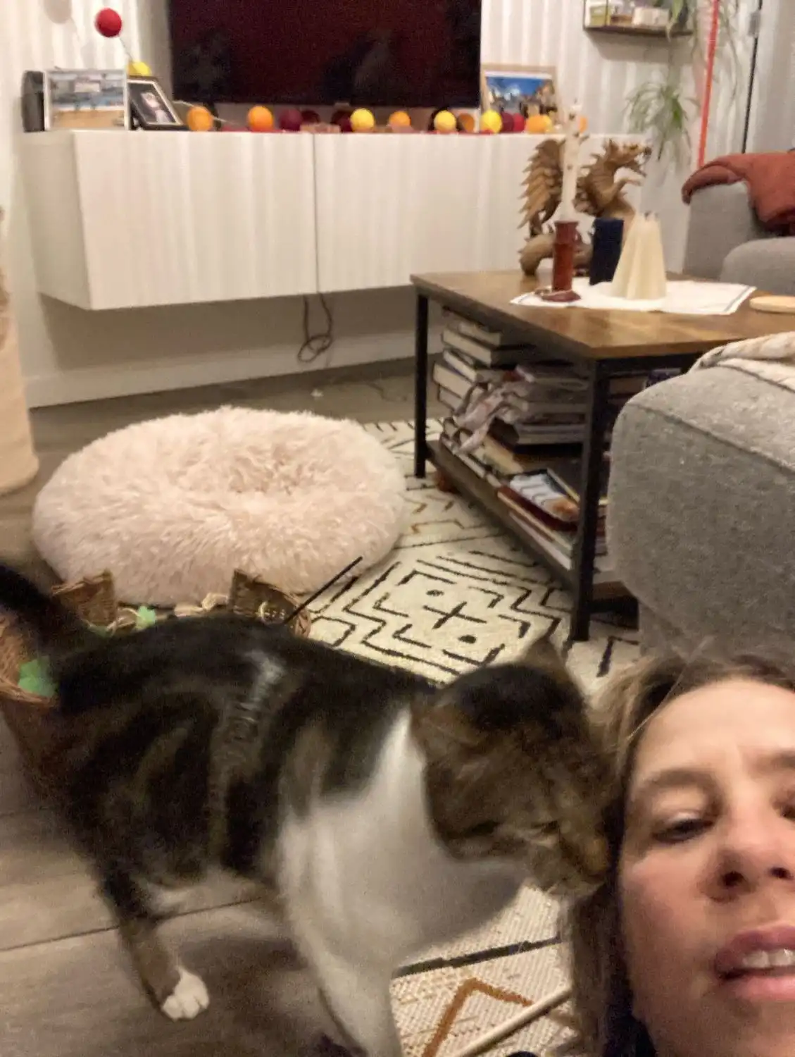 image-6