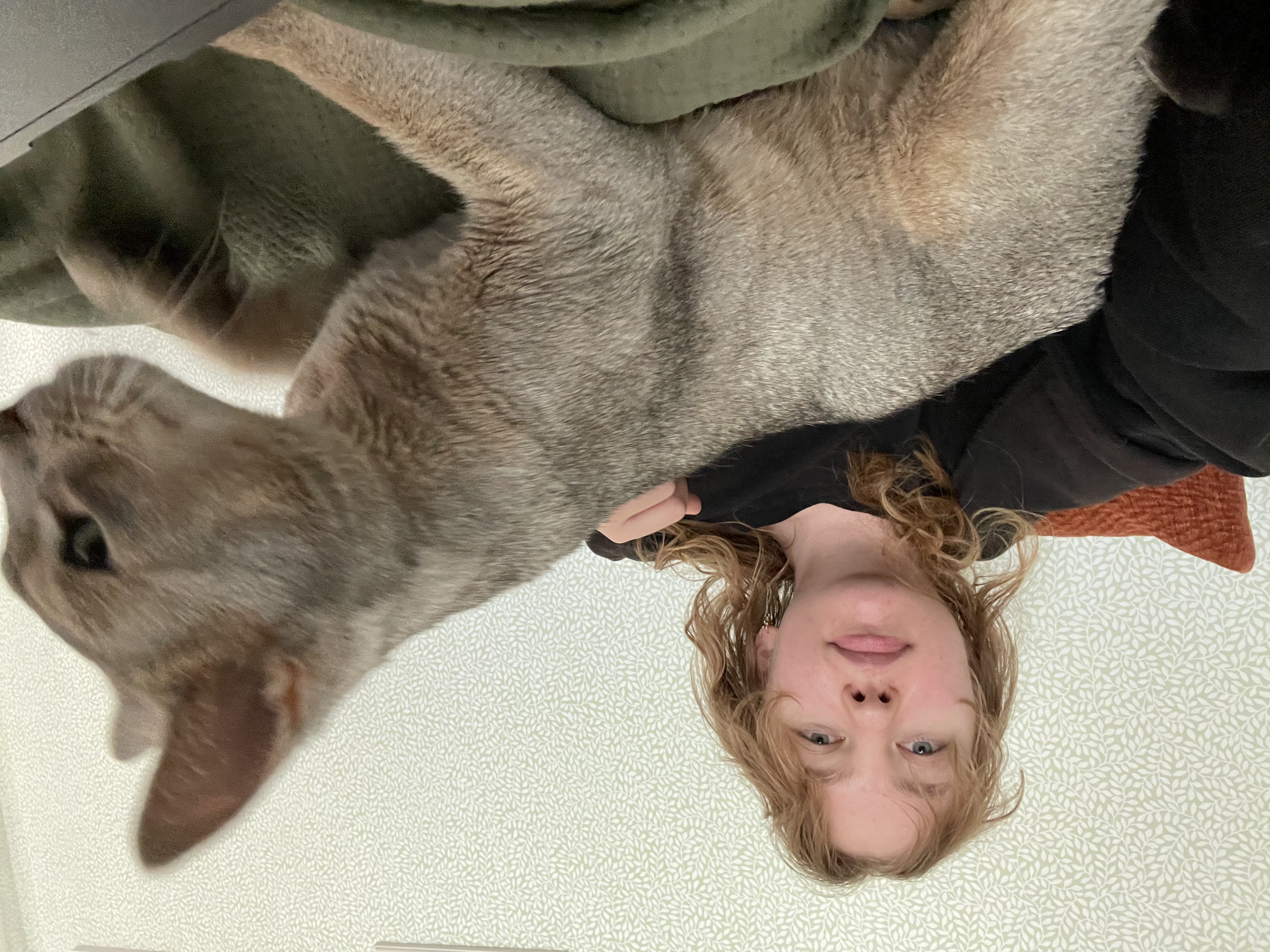 image-5