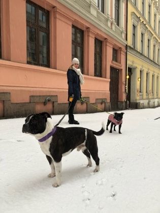image-7