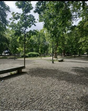 image-14