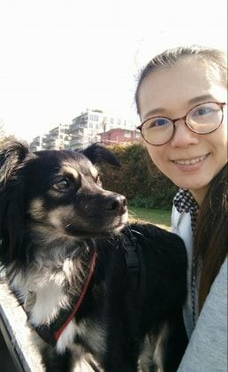 image-13