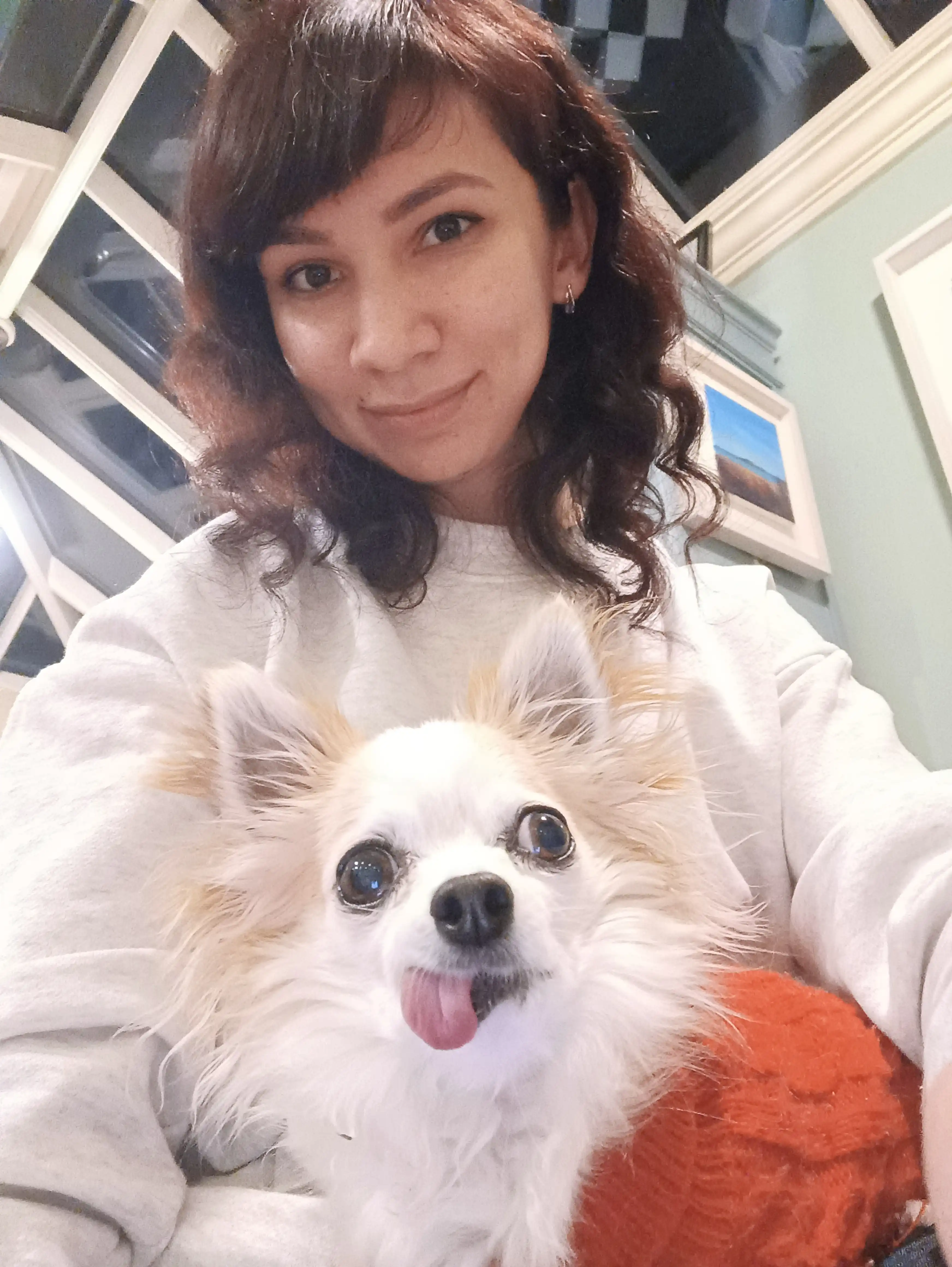 image-6
