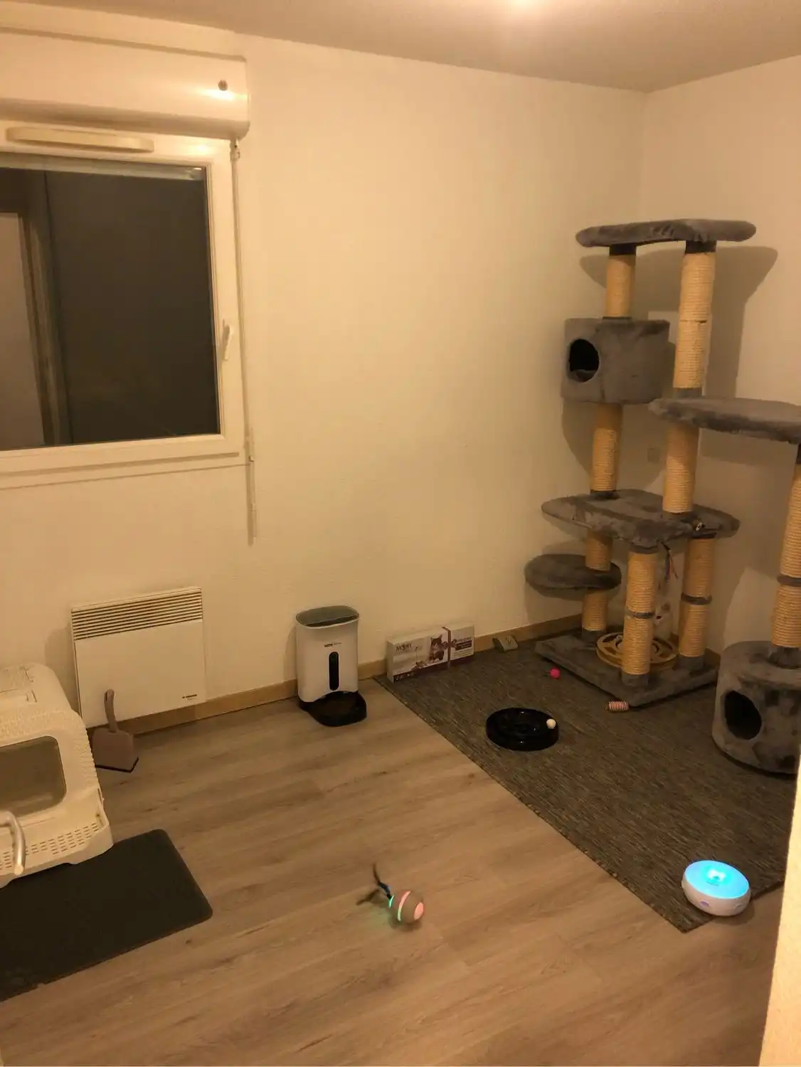 image-9