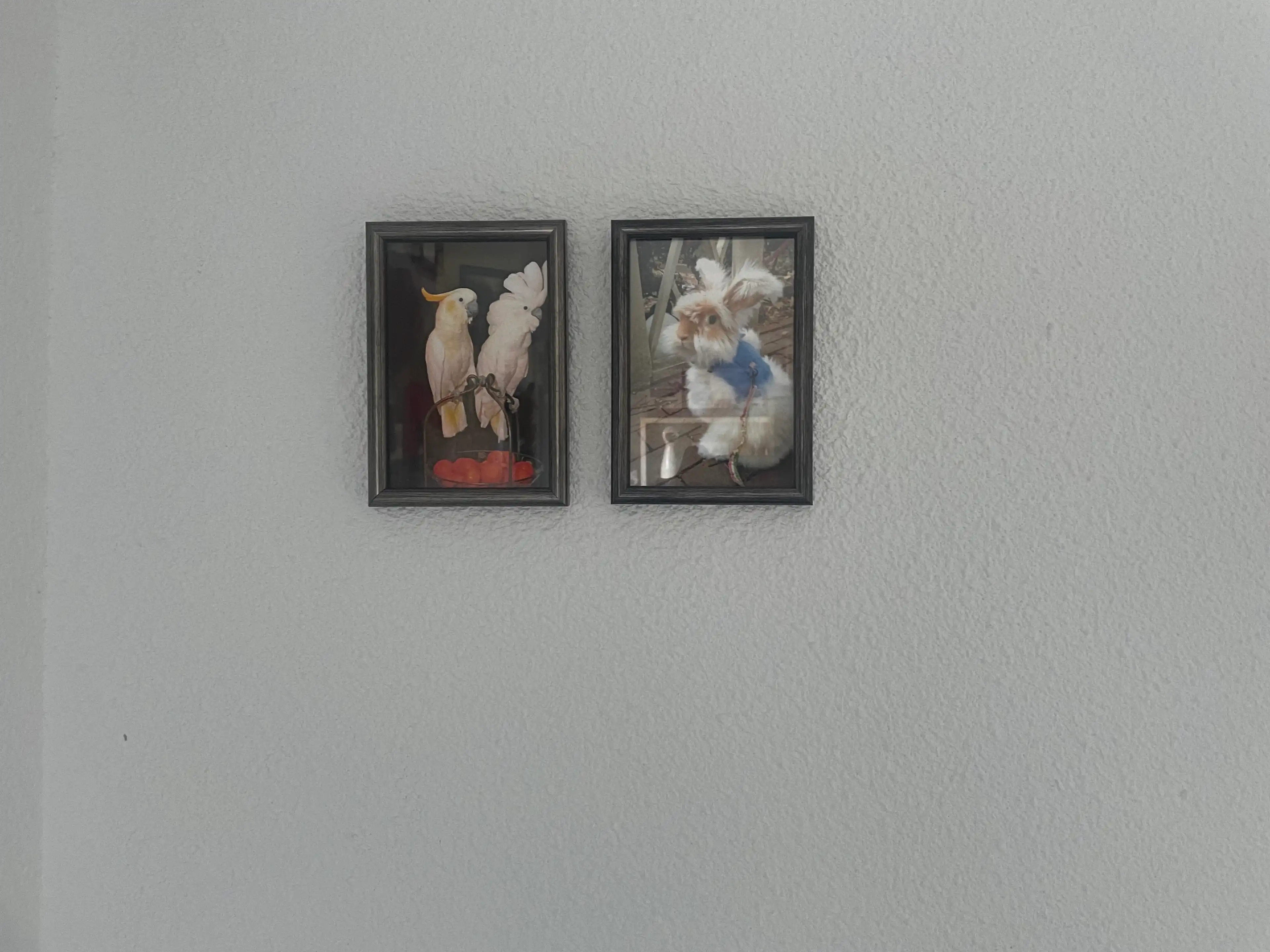 image-18
