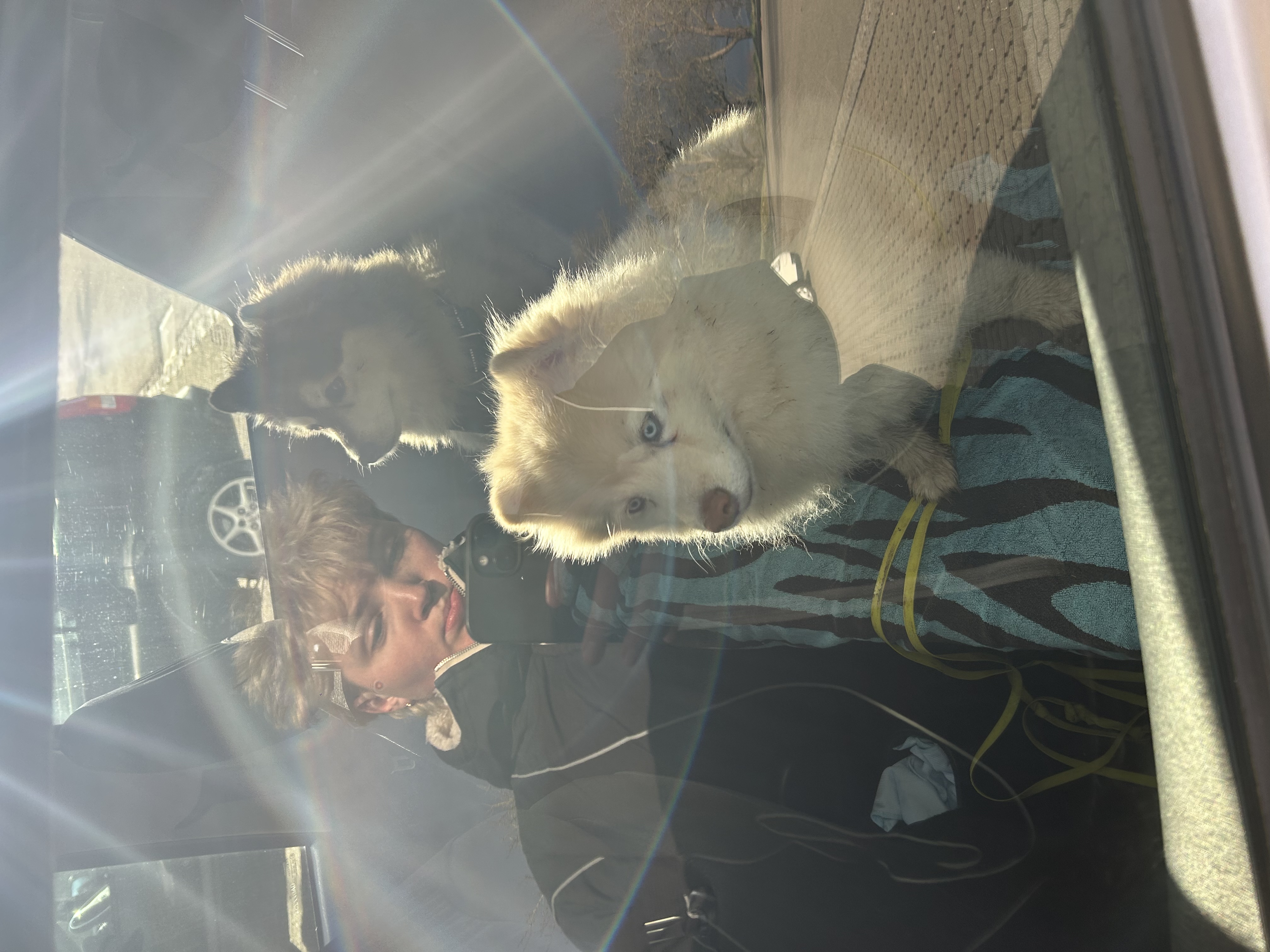 image-0