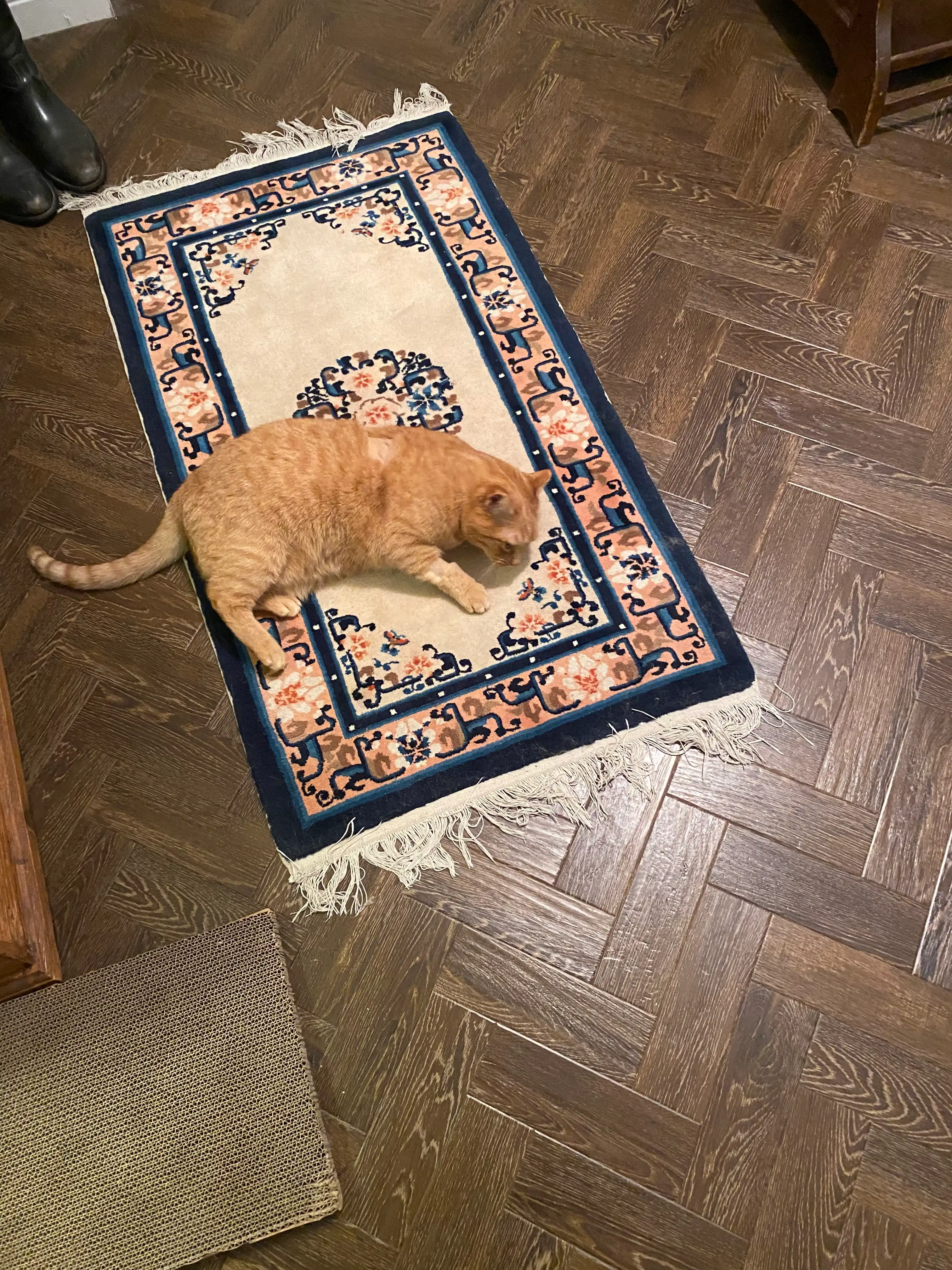 image-9