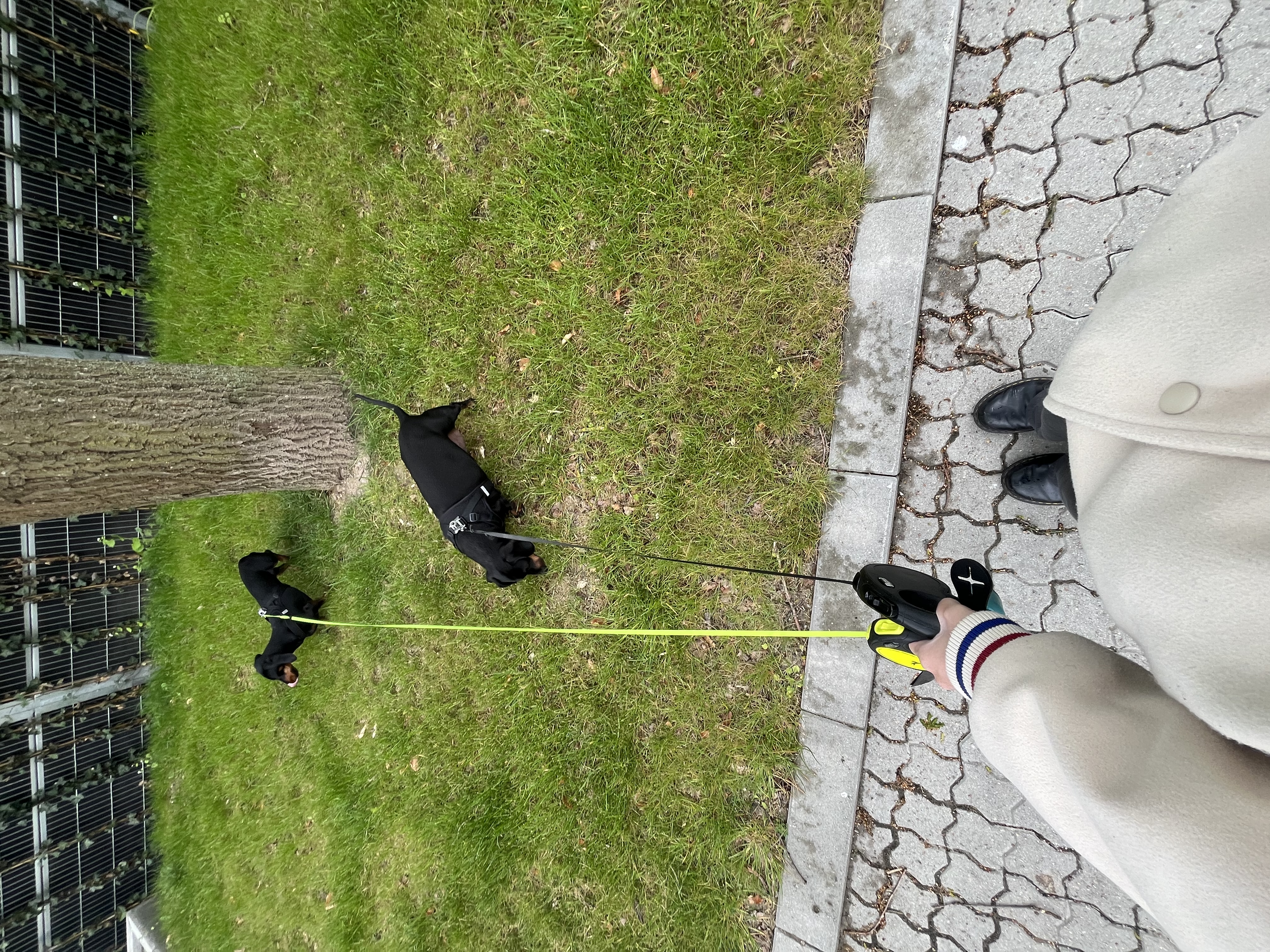 image-10