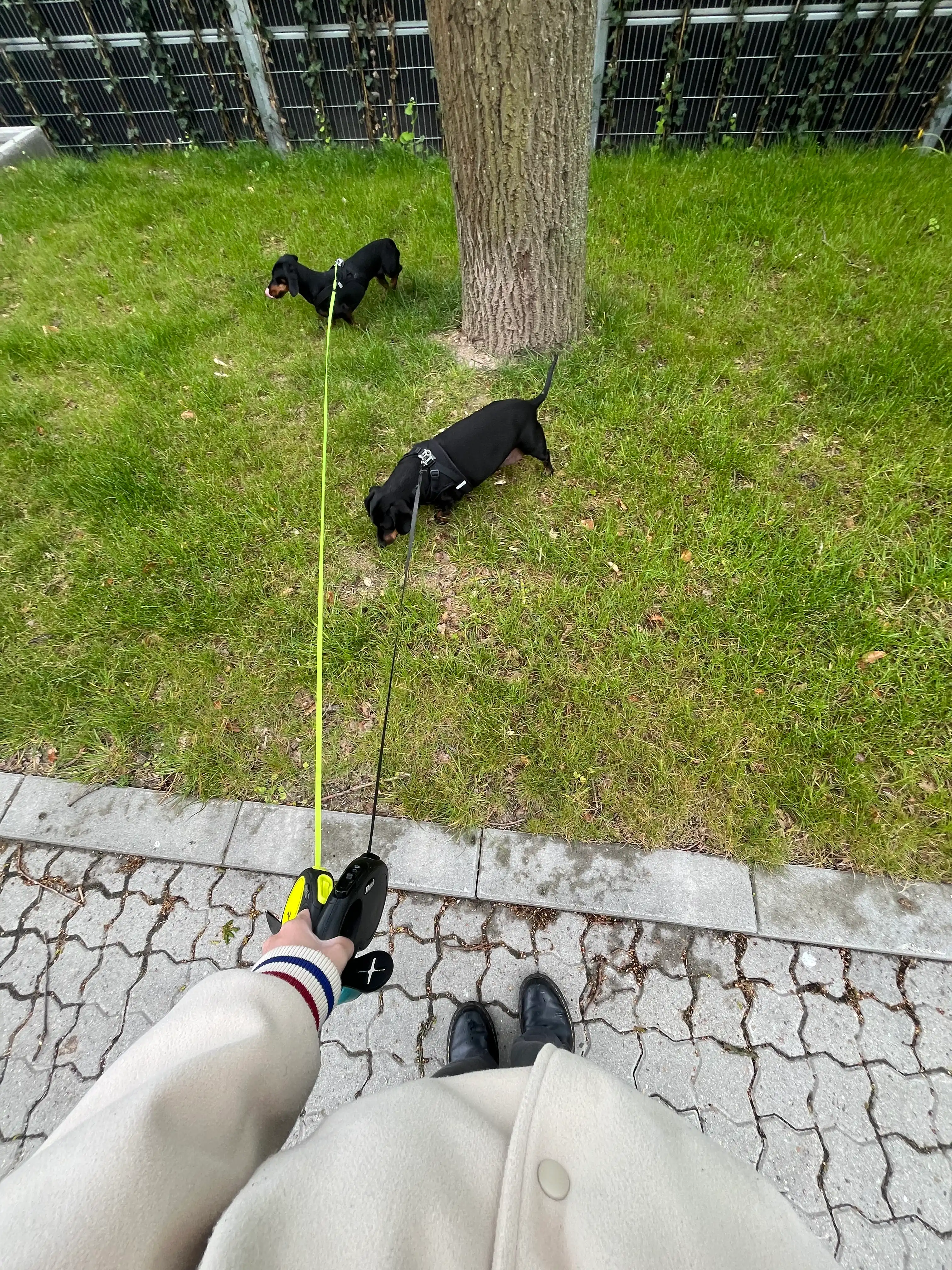 image-10