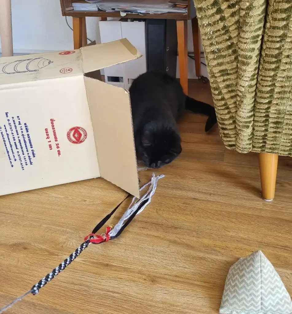 image-6