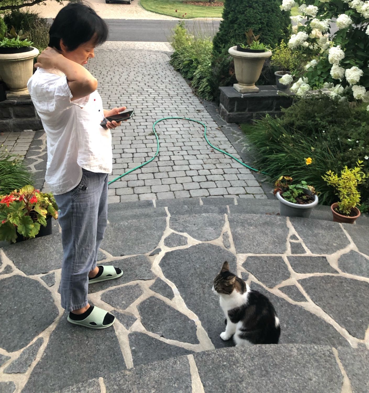 image-6