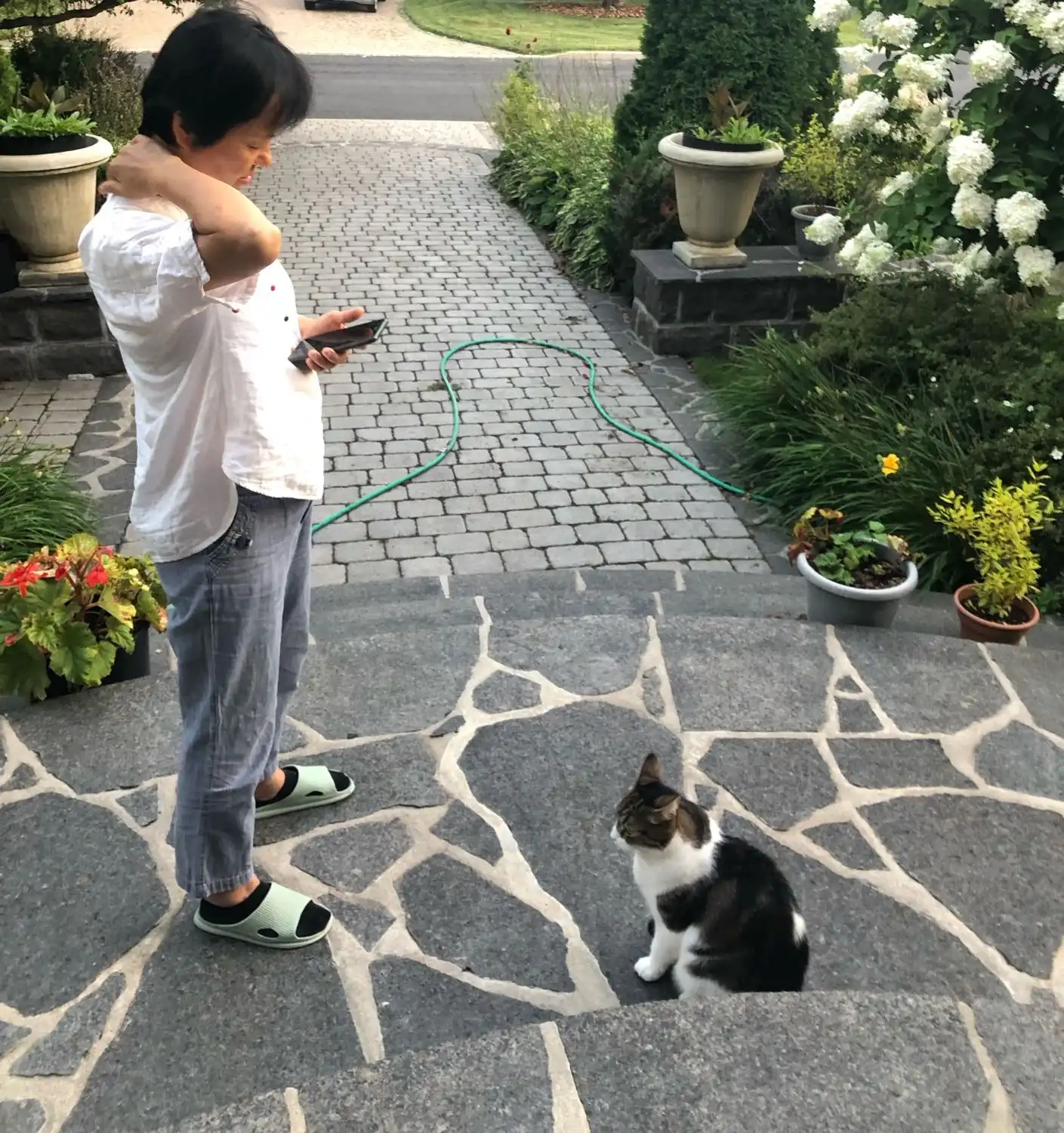 image-6