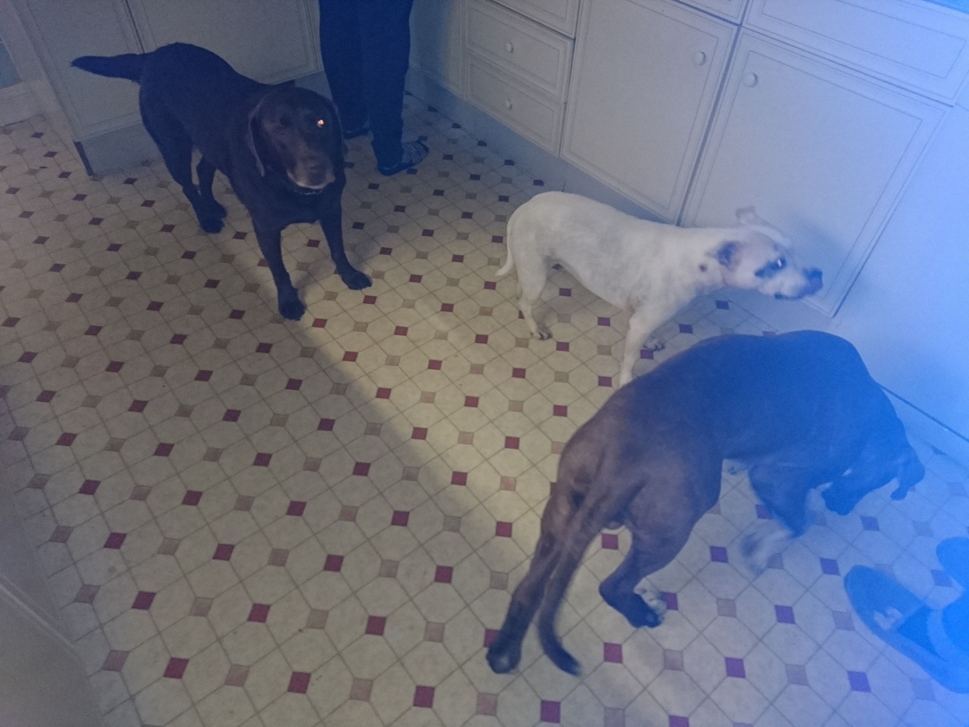 image-6
