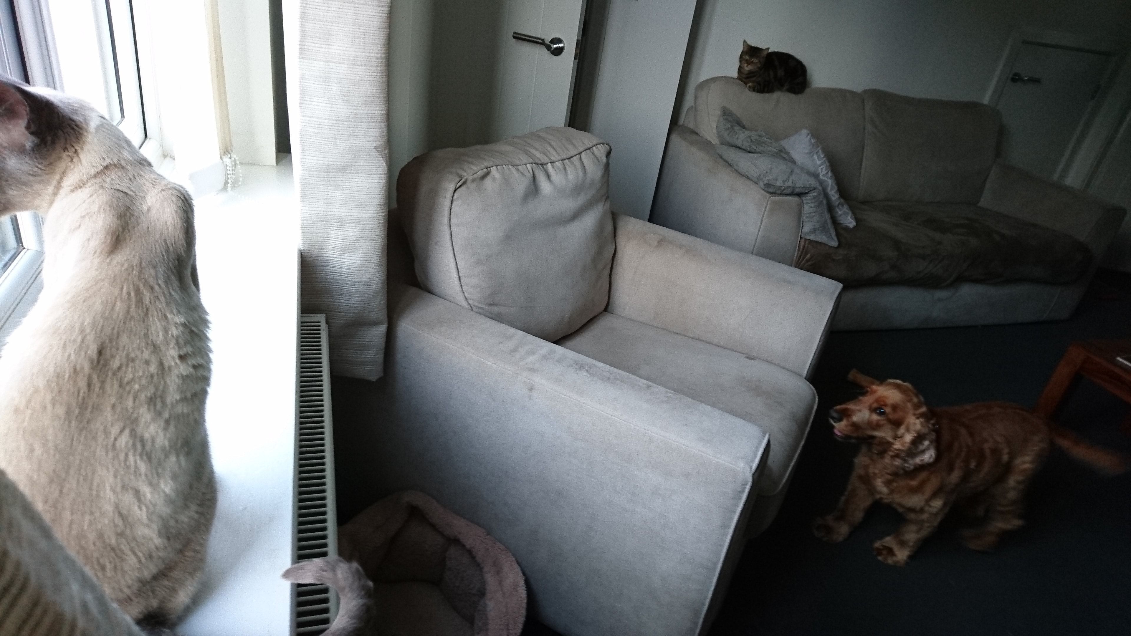 image-10