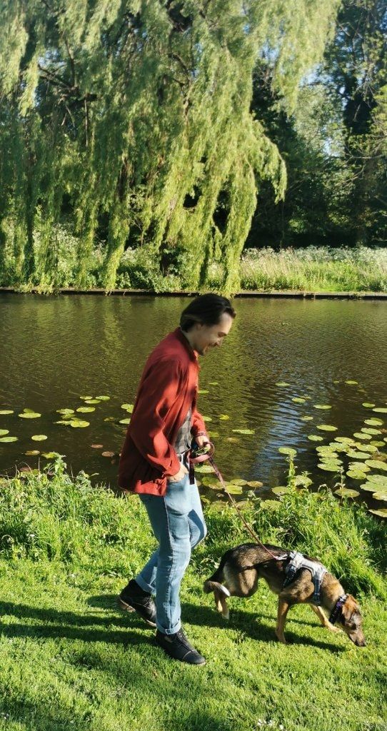 image-2