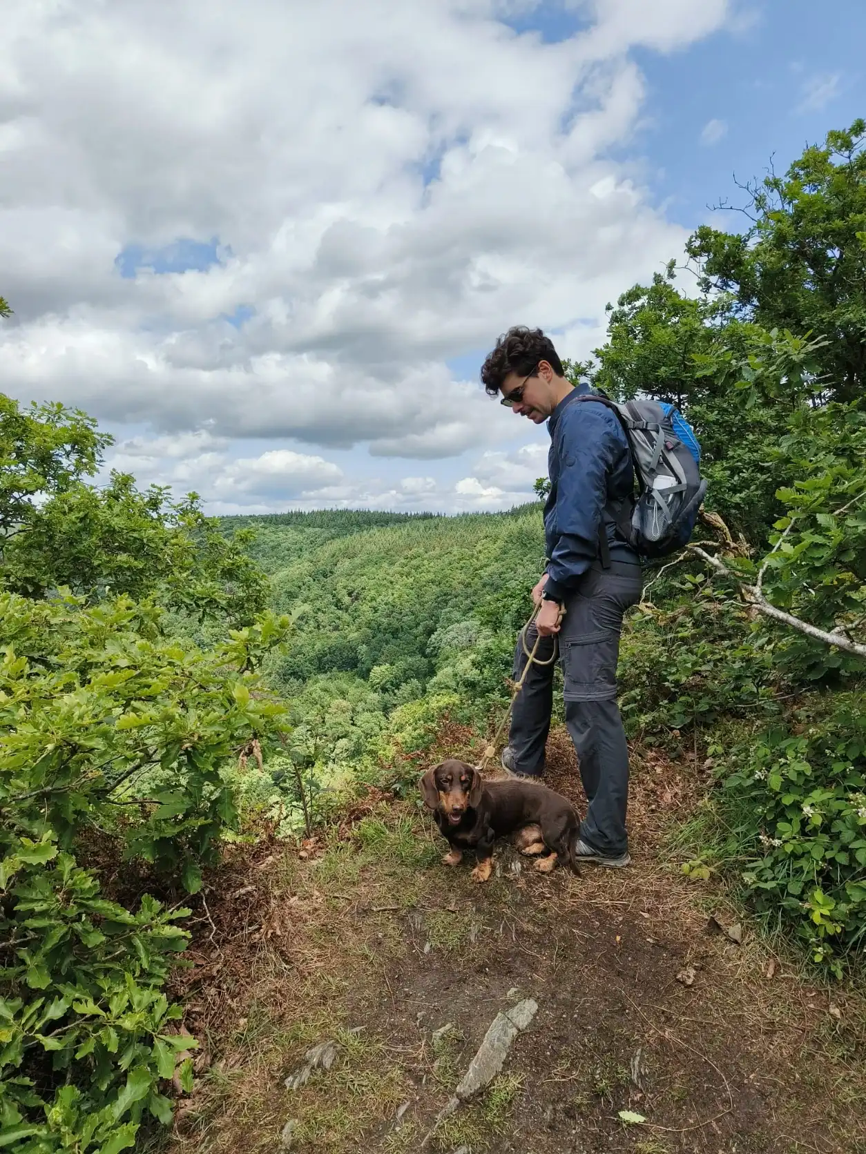 image-6