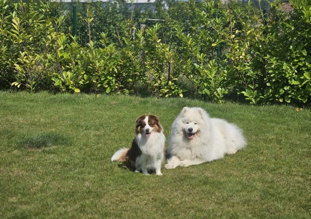 image-14