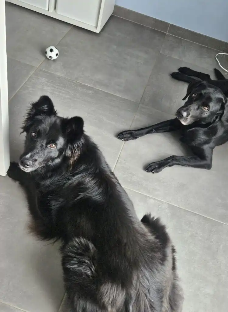 image-17