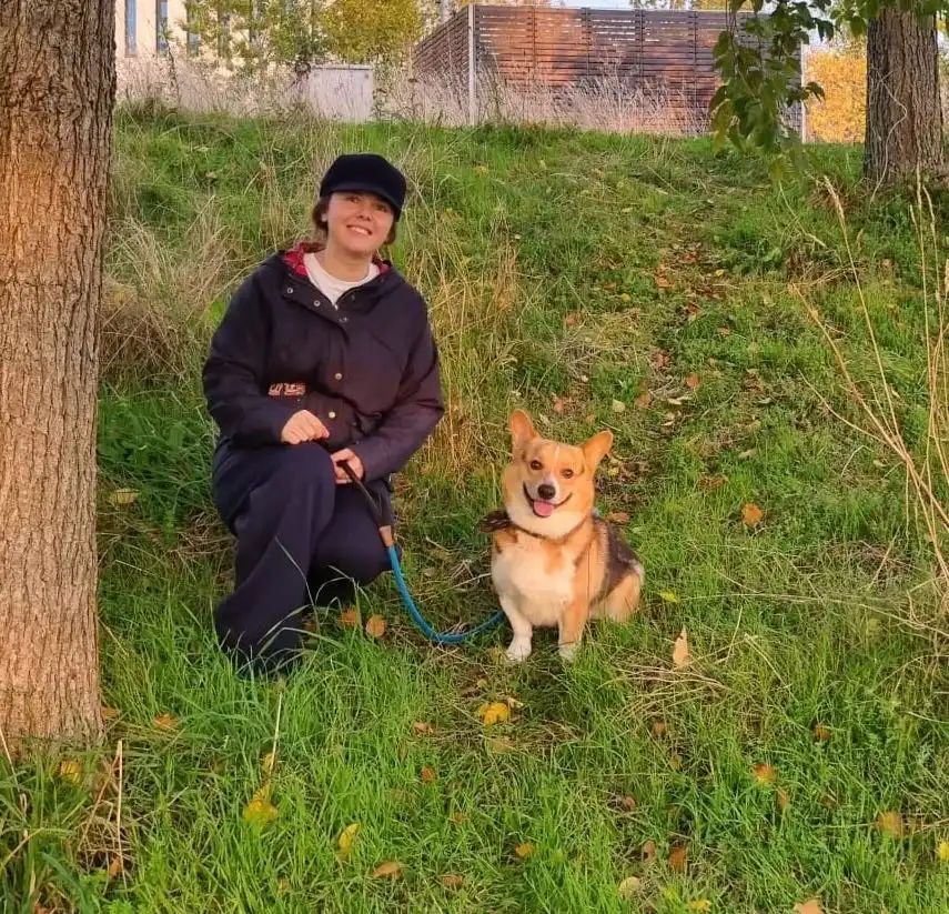 image-5