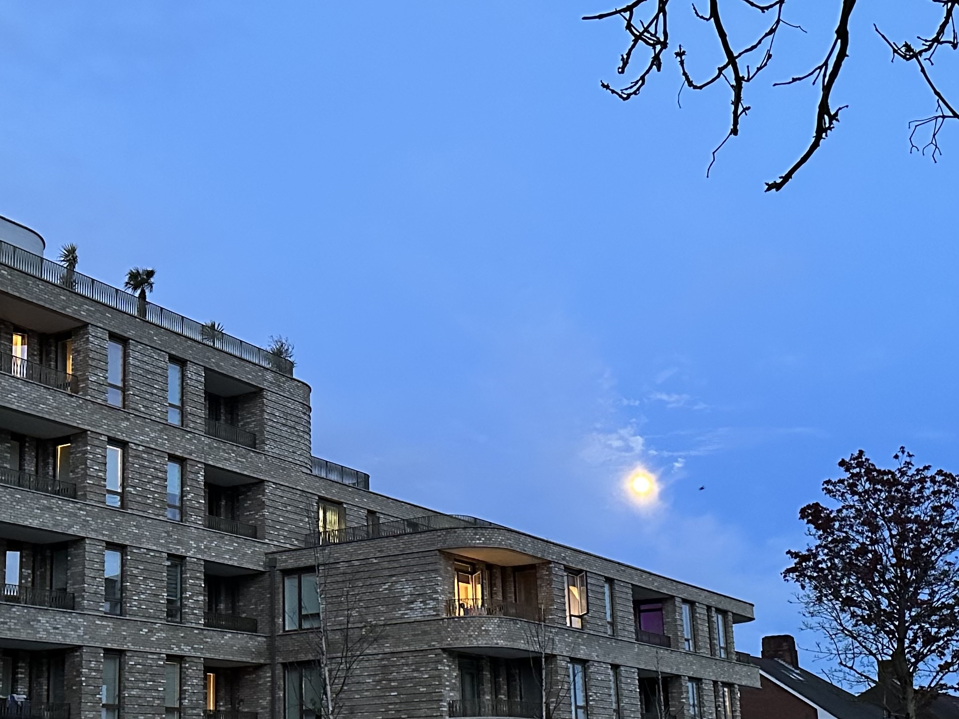 image-38