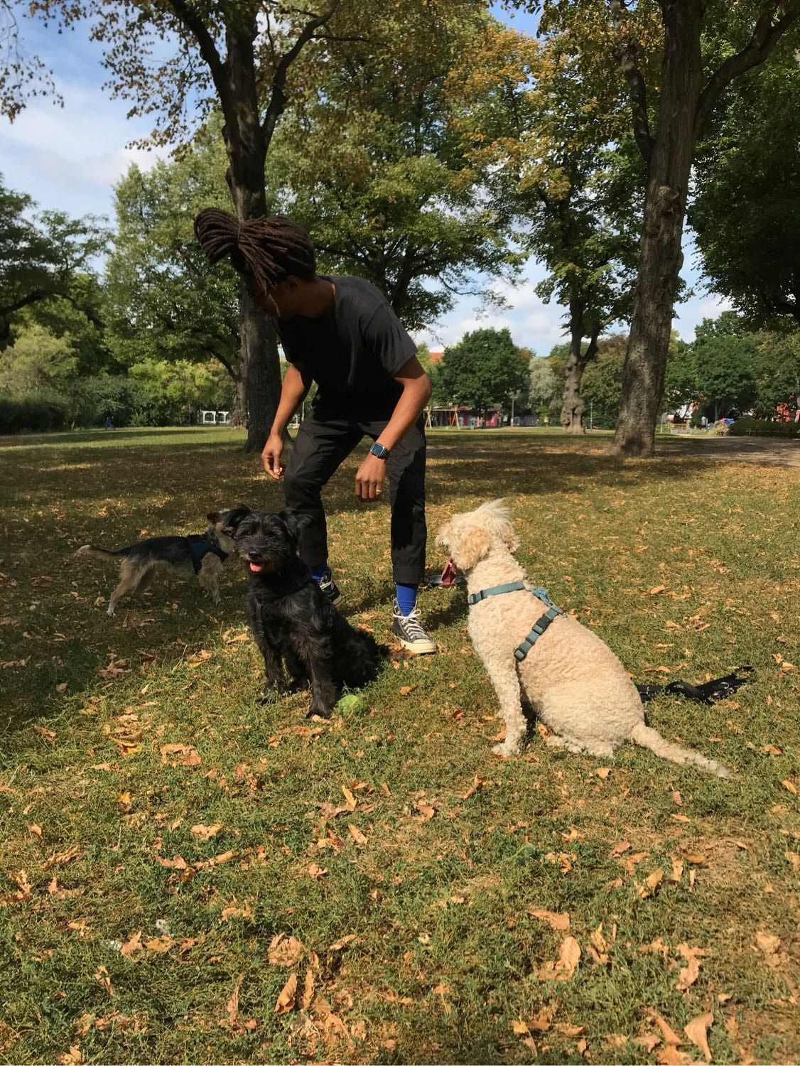 image-27