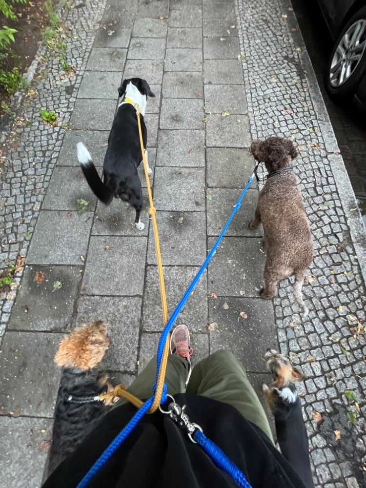 image-46