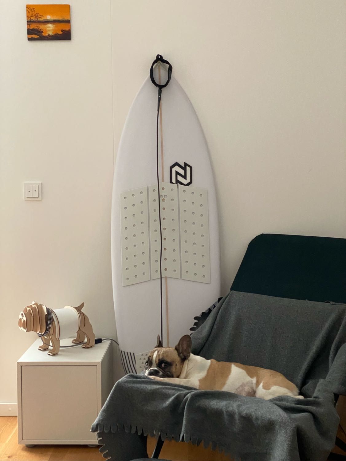 image-7