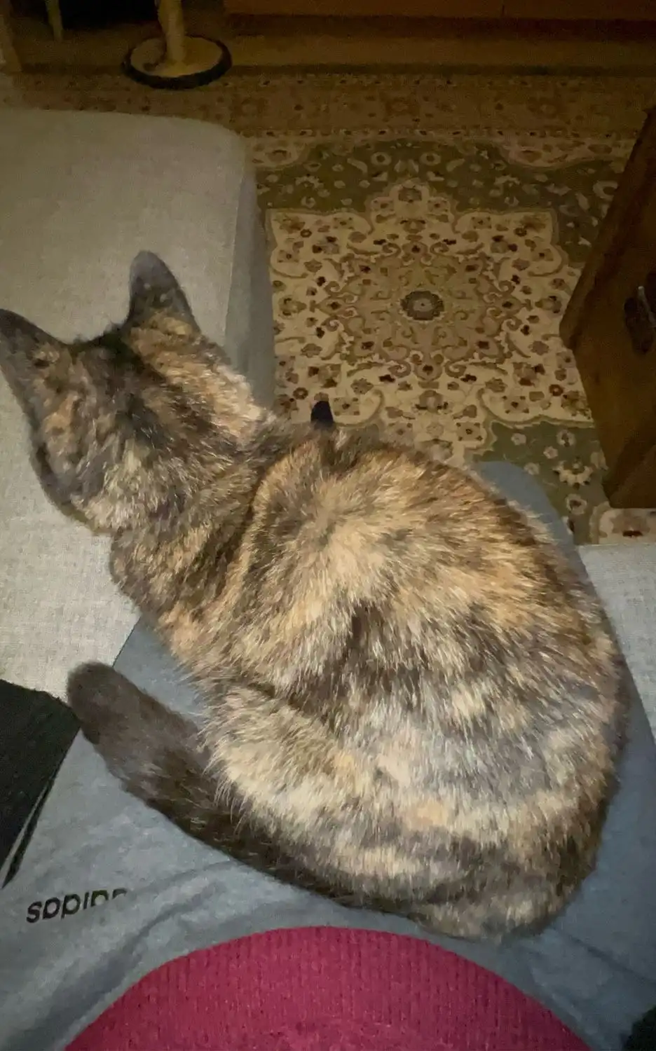 image-6
