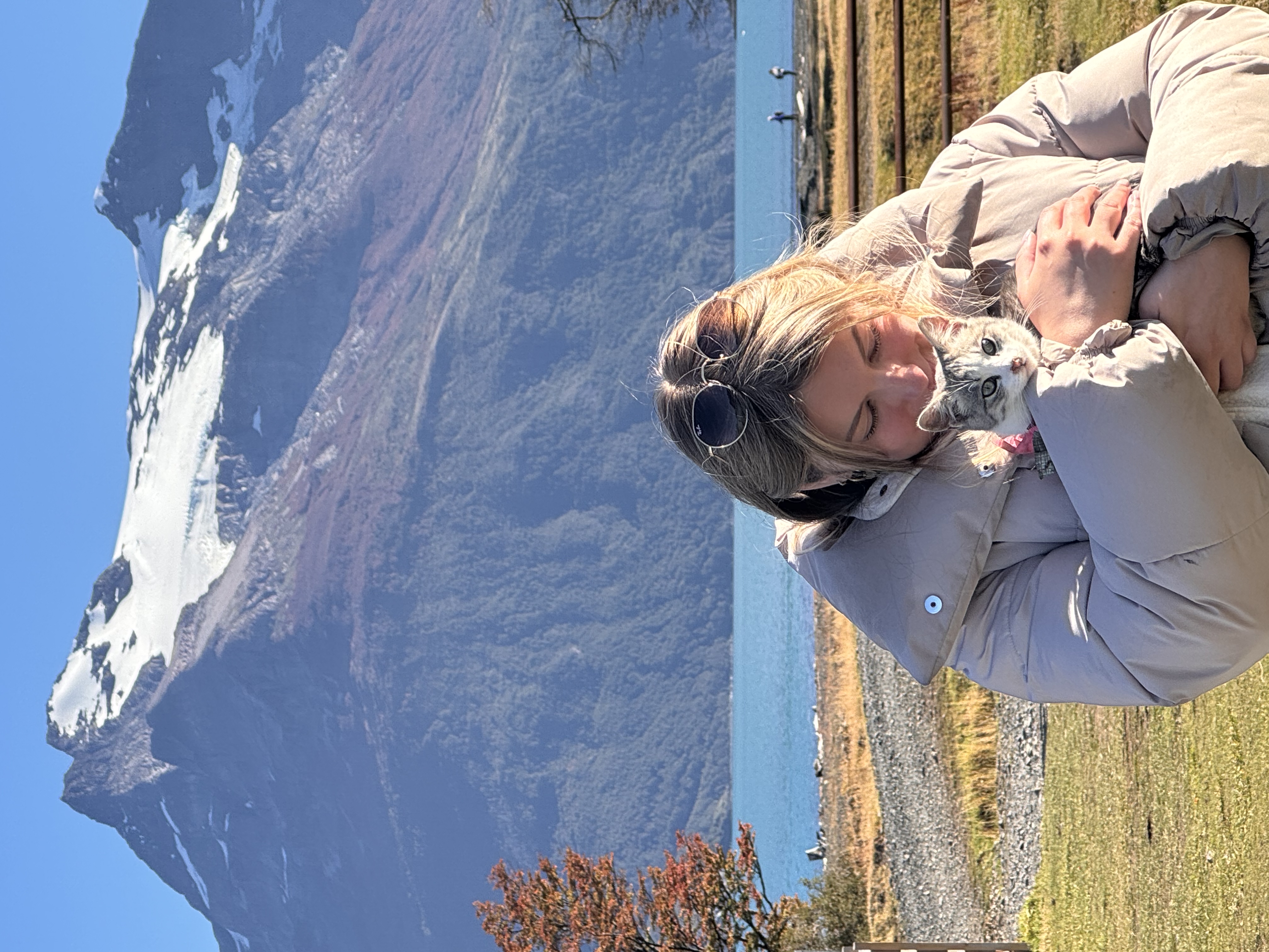 image-4