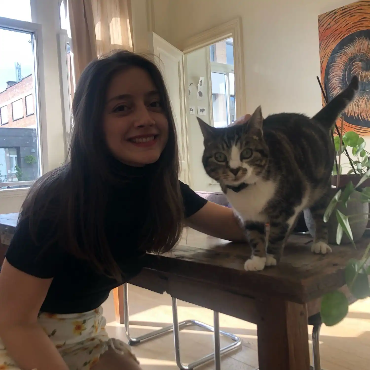 image-12