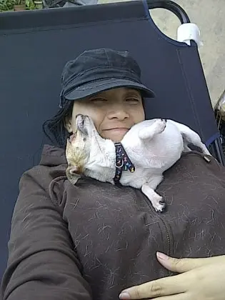 image-4