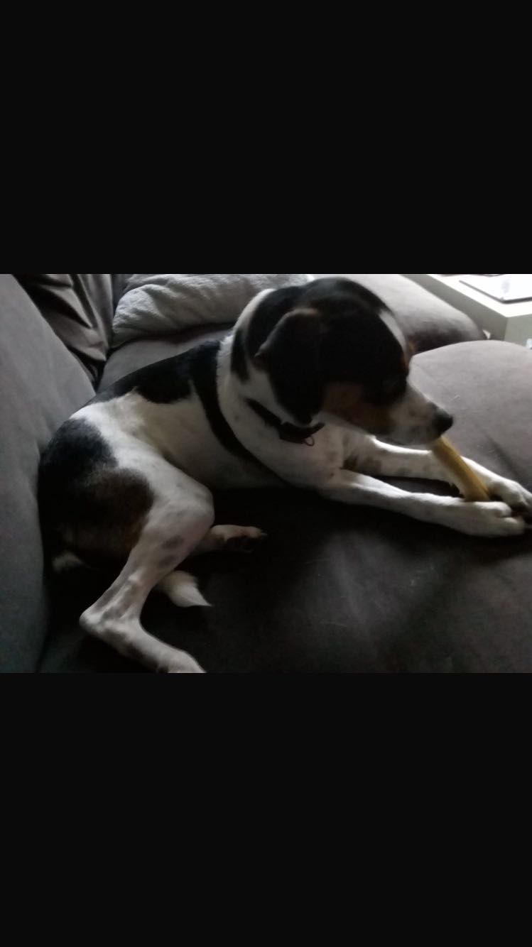 image-7