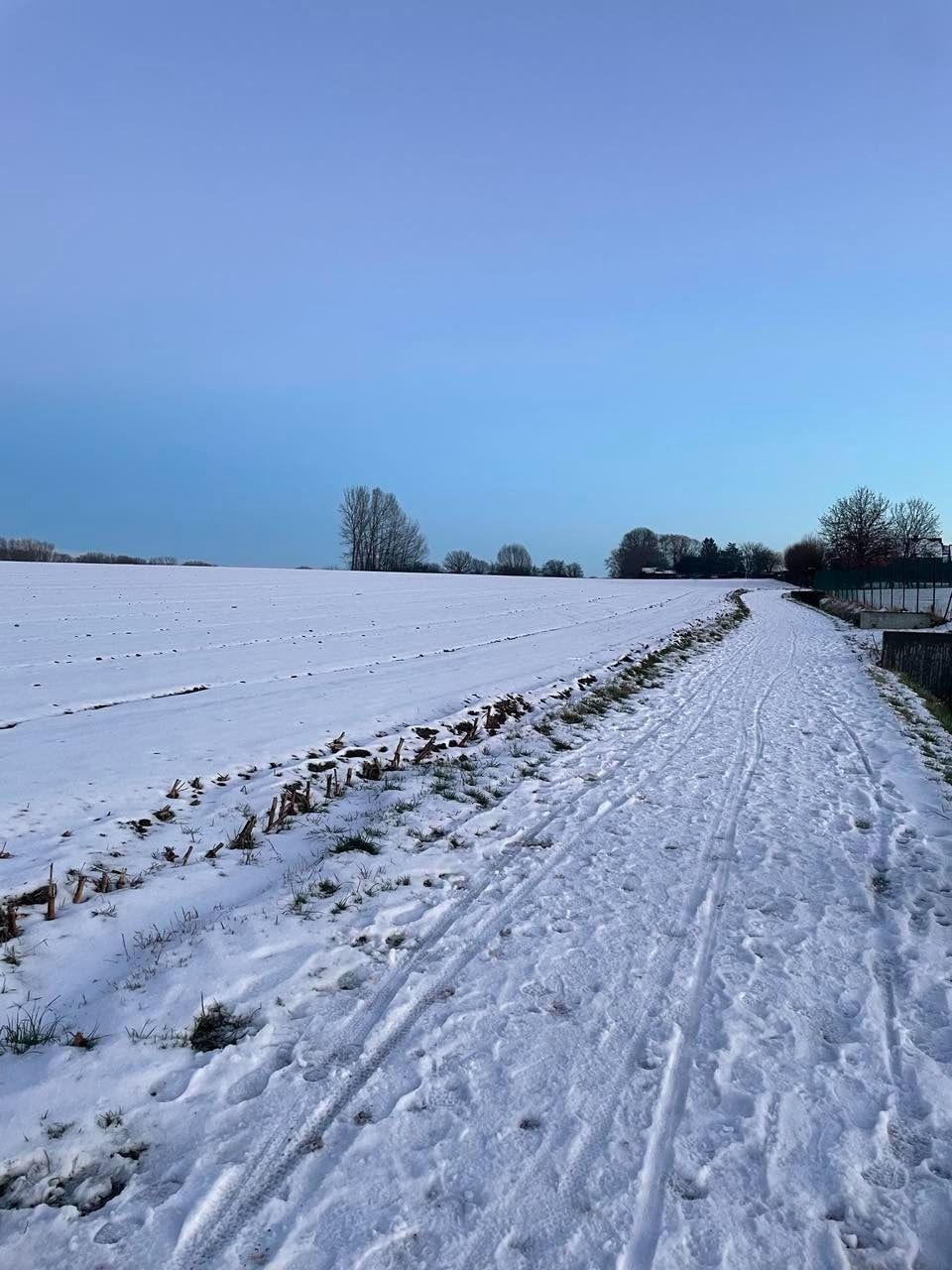 image-6