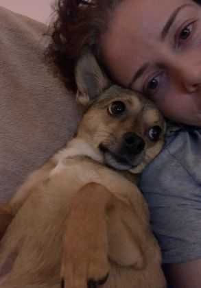 image-6