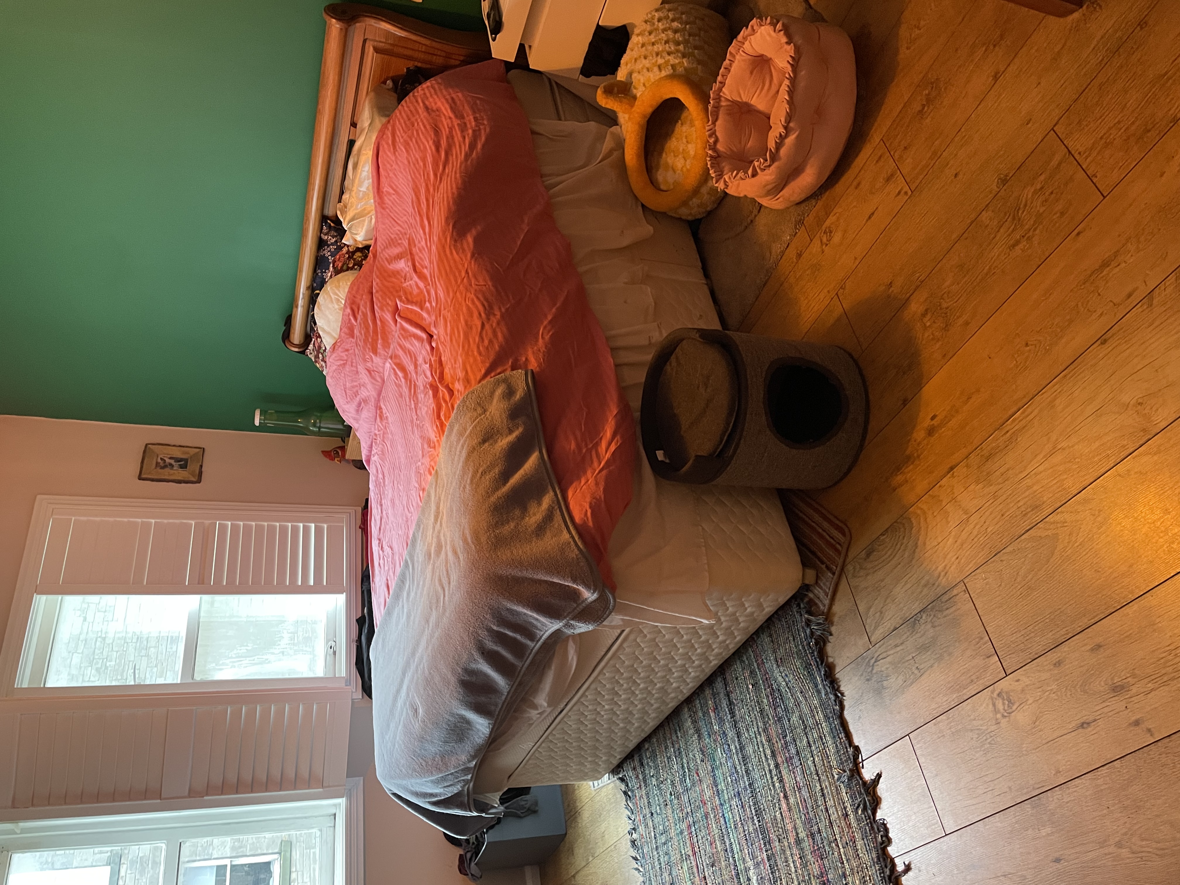 image-19