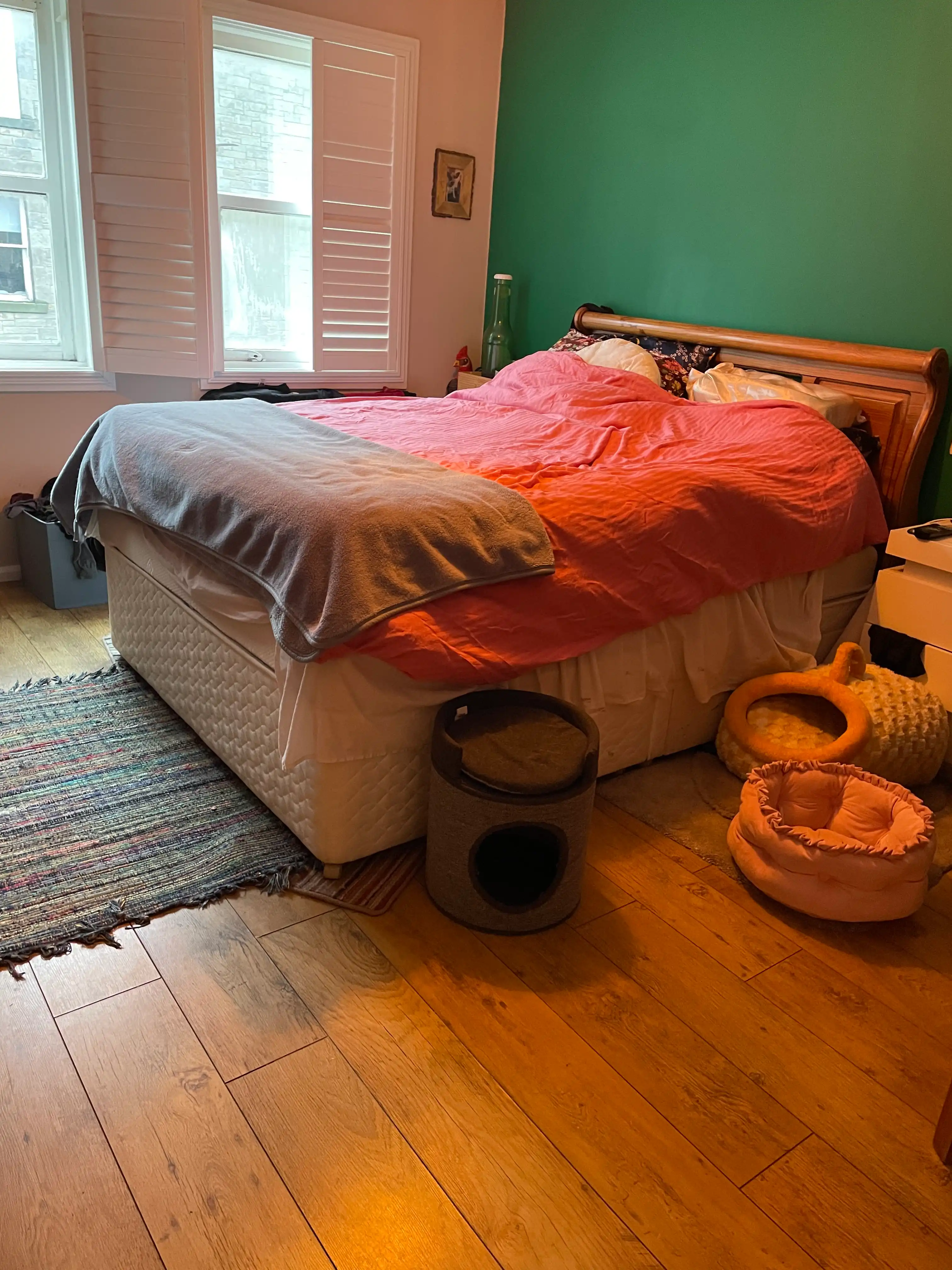 image-19